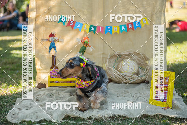 Buy your photos of the eventCo Joo - Festa Julina do Clube dos Salsichanos Ribeiro Preto on Fotop