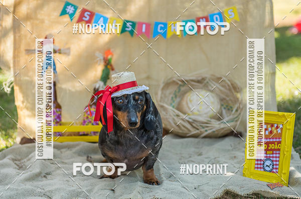 Buy your photos of the eventCo Joo - Festa Julina do Clube dos Salsichanos Ribeiro Preto on Fotop