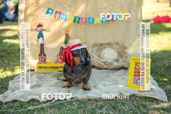 Buy your photos of the eventCo Joo - Festa Julina do Clube dos Salsichanos Ribeiro Preto on Fotop