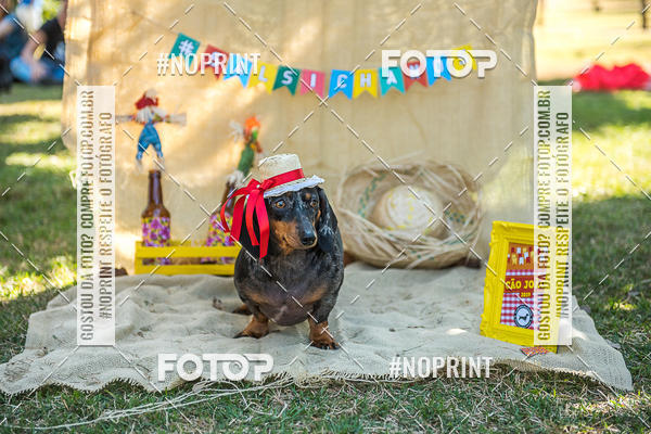 Buy your photos of the eventCo Joo - Festa Julina do Clube dos Salsichanos Ribeiro Preto on Fotop
