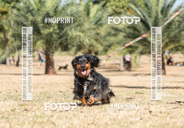 Buy your photos of the eventCo Joo - Festa Julina do Clube dos Salsichanos Ribeiro Preto on Fotop
