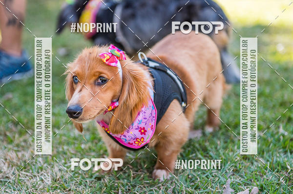 Buy your photos of the eventCo Joo - Festa Julina do Clube dos Salsichanos Ribeiro Preto on Fotop