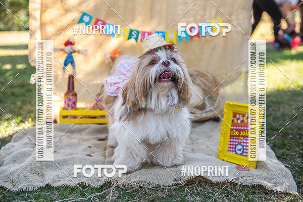 Buy your photos of the eventCo Joo - Festa Julina do Clube dos Salsichanos Ribeiro Preto on Fotop