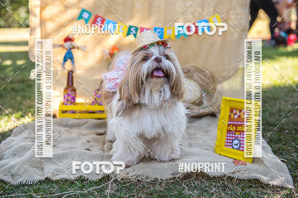 Buy your photos of the eventCo Joo - Festa Julina do Clube dos Salsichanos Ribeiro Preto on Fotop