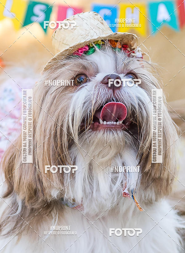 Buy your photos of the eventCo Joo - Festa Julina do Clube dos Salsichanos Ribeiro Preto on Fotop