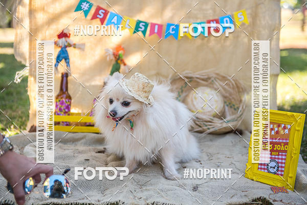 Buy your photos of the eventCo Joo - Festa Julina do Clube dos Salsichanos Ribeiro Preto on Fotop