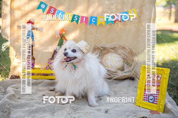 Compre suas fotos do eventoCo Joo - Festa Julina do Clube dos Salsichanos Ribeiro Preto no Fotop