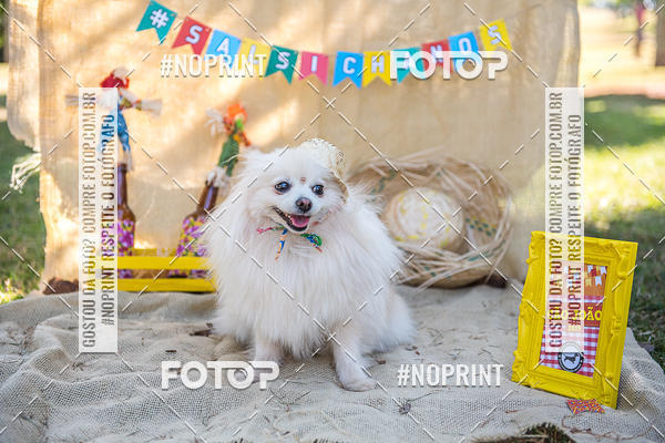 Buy your photos of the eventCo Joo - Festa Julina do Clube dos Salsichanos Ribeiro Preto on Fotop