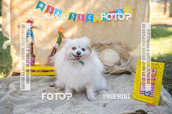 Compre suas fotos do eventoCo Joo - Festa Julina do Clube dos Salsichanos Ribeiro Preto no Fotop