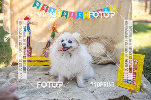 Buy your photos of the eventCo Joo - Festa Julina do Clube dos Salsichanos Ribeiro Preto on Fotop