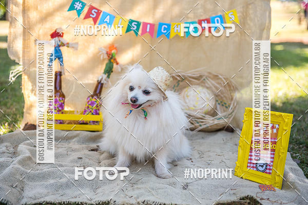 Buy your photos of the eventCo Joo - Festa Julina do Clube dos Salsichanos Ribeiro Preto on Fotop