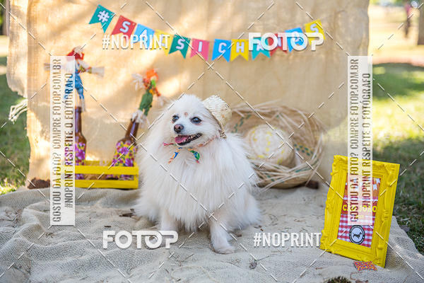 Buy your photos of the eventCo Joo - Festa Julina do Clube dos Salsichanos Ribeiro Preto on Fotop