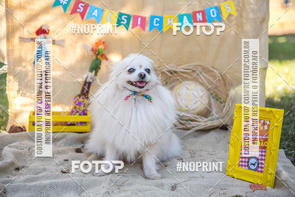 Compra tus fotos del eventoCo Joo - Festa Julina do Clube dos Salsichanos Ribeiro Preto En Fotop