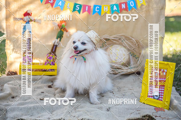 Buy your photos of the eventCo Joo - Festa Julina do Clube dos Salsichanos Ribeiro Preto on Fotop