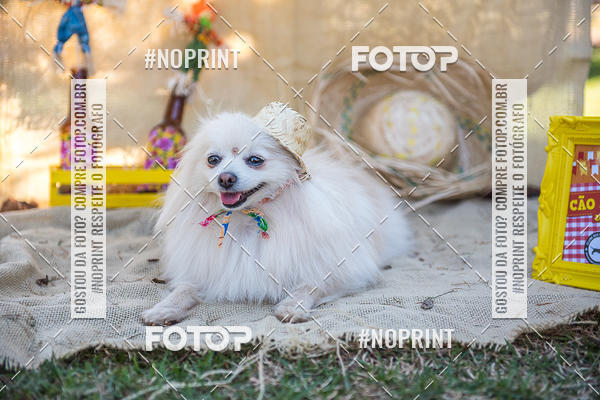 Compra tus fotos del eventoCo Joo - Festa Julina do Clube dos Salsichanos Ribeiro Preto En Fotop