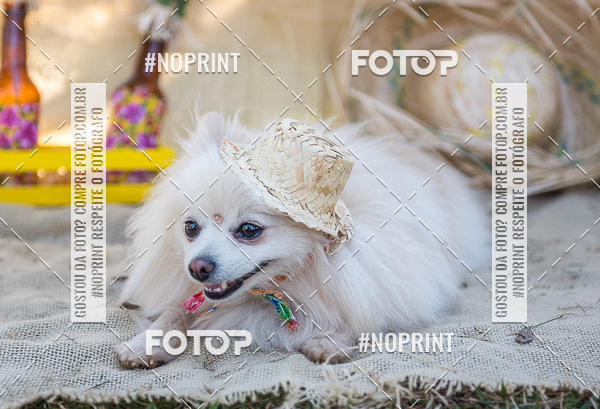 Buy your photos of the eventCo Joo - Festa Julina do Clube dos Salsichanos Ribeiro Preto on Fotop