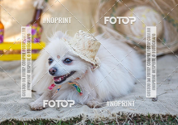 Buy your photos of the eventCo Joo - Festa Julina do Clube dos Salsichanos Ribeiro Preto on Fotop