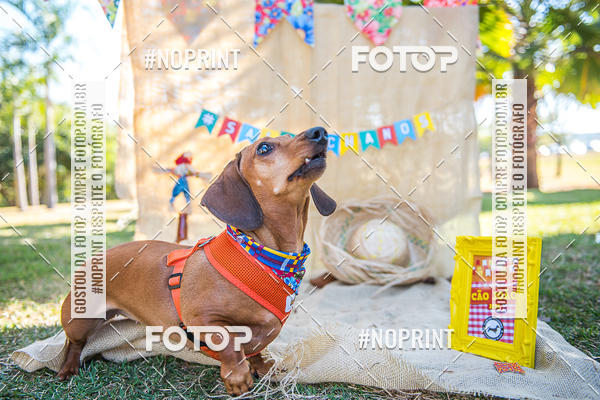 Buy your photos of the eventCo Joo - Festa Julina do Clube dos Salsichanos Ribeiro Preto on Fotop