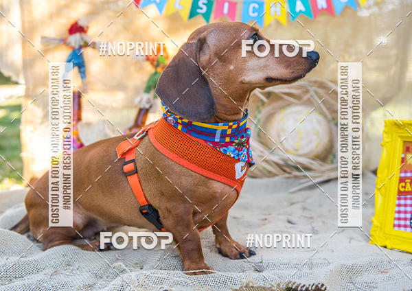 Compra tus fotos del eventoCo Joo - Festa Julina do Clube dos Salsichanos Ribeiro Preto En Fotop