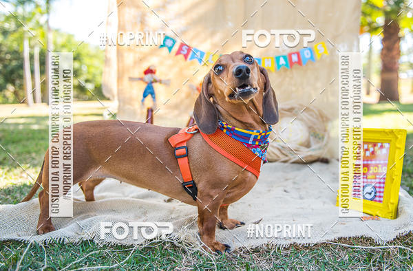 Buy your photos of the eventCo Joo - Festa Julina do Clube dos Salsichanos Ribeiro Preto on Fotop