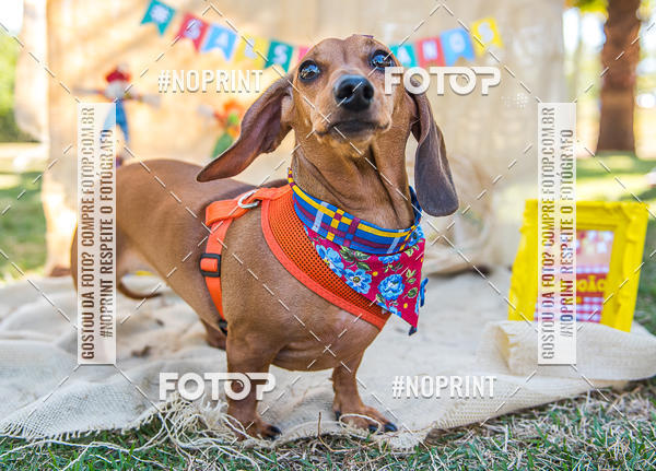 Compra tus fotos del eventoCo Joo - Festa Julina do Clube dos Salsichanos Ribeiro Preto En Fotop