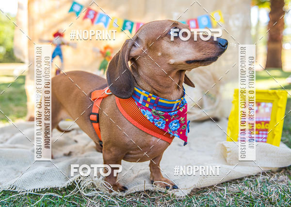 Buy your photos of the eventCo Joo - Festa Julina do Clube dos Salsichanos Ribeiro Preto on Fotop