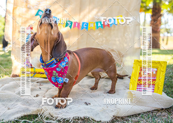 Compra tus fotos del eventoCo Joo - Festa Julina do Clube dos Salsichanos Ribeiro Preto En Fotop