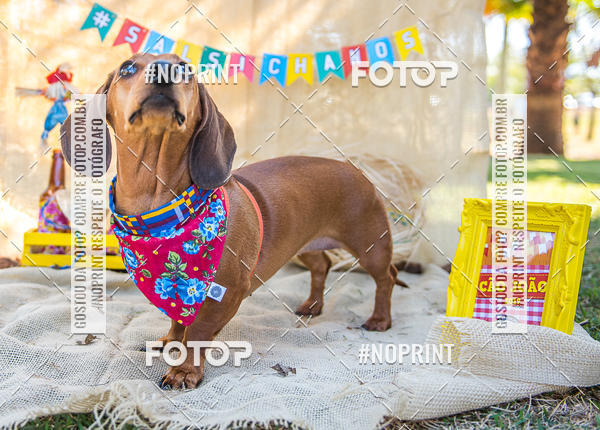 Compra tus fotos del eventoCo Joo - Festa Julina do Clube dos Salsichanos Ribeiro Preto En Fotop