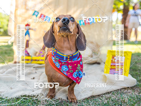 Buy your photos of the eventCo Joo - Festa Julina do Clube dos Salsichanos Ribeiro Preto on Fotop