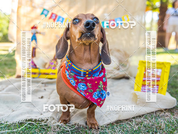 Buy your photos of the eventCo Joo - Festa Julina do Clube dos Salsichanos Ribeiro Preto on Fotop