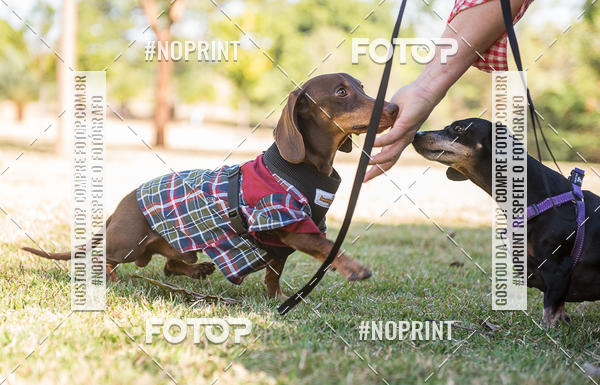 Buy your photos of the eventCo Joo - Festa Julina do Clube dos Salsichanos Ribeiro Preto on Fotop