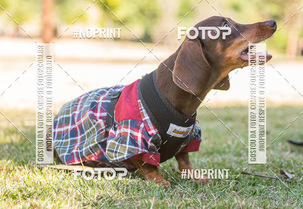 Compra tus fotos del eventoCo Joo - Festa Julina do Clube dos Salsichanos Ribeiro Preto En Fotop