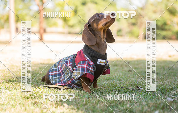 Buy your photos of the eventCo Joo - Festa Julina do Clube dos Salsichanos Ribeiro Preto on Fotop