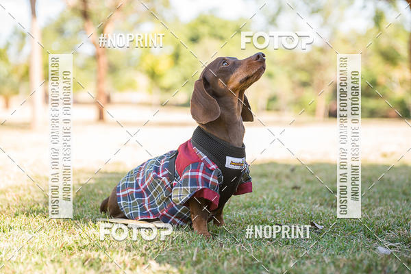 Compre suas fotos do eventoCo Joo - Festa Julina do Clube dos Salsichanos Ribeiro Preto no Fotop