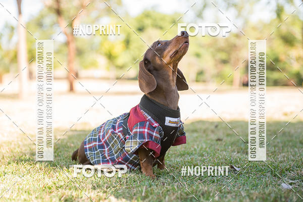 Compre suas fotos do eventoCo Joo - Festa Julina do Clube dos Salsichanos Ribeiro Preto no Fotop