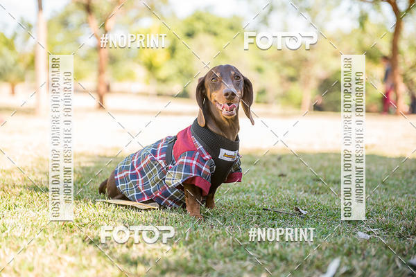 Buy your photos of the eventCo Joo - Festa Julina do Clube dos Salsichanos Ribeiro Preto on Fotop