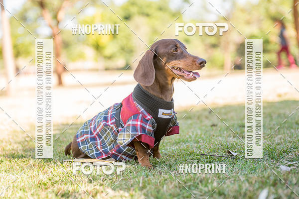 Buy your photos of the eventCo Joo - Festa Julina do Clube dos Salsichanos Ribeiro Preto on Fotop