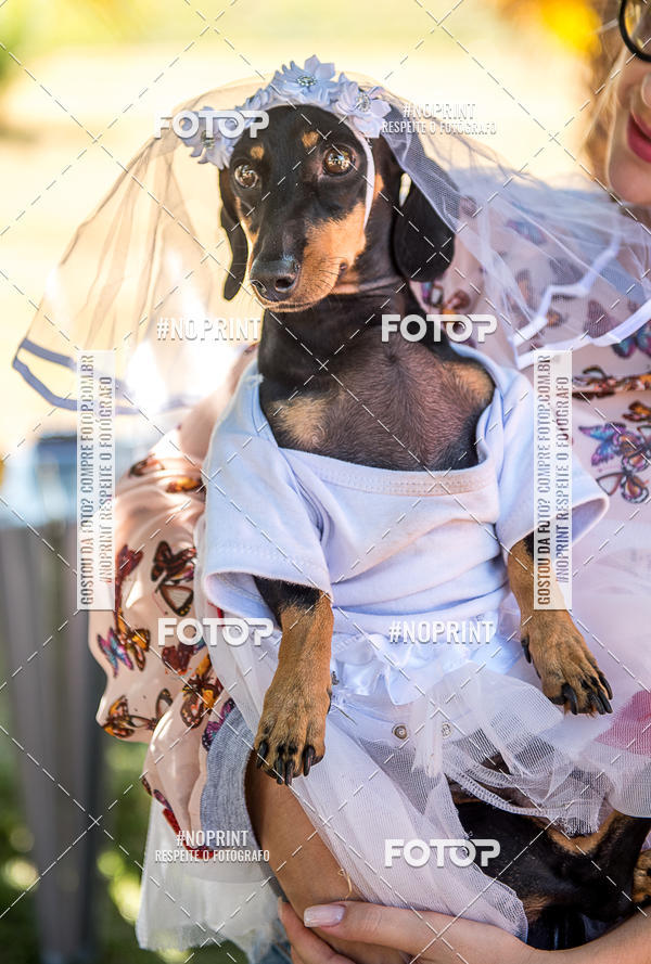 Compre suas fotos do eventoCo Joo - Festa Julina do Clube dos Salsichanos Ribeiro Preto no Fotop