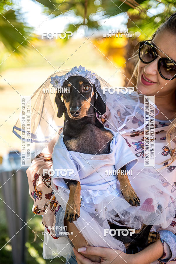 Compre suas fotos do eventoCo Joo - Festa Julina do Clube dos Salsichanos Ribeiro Preto no Fotop