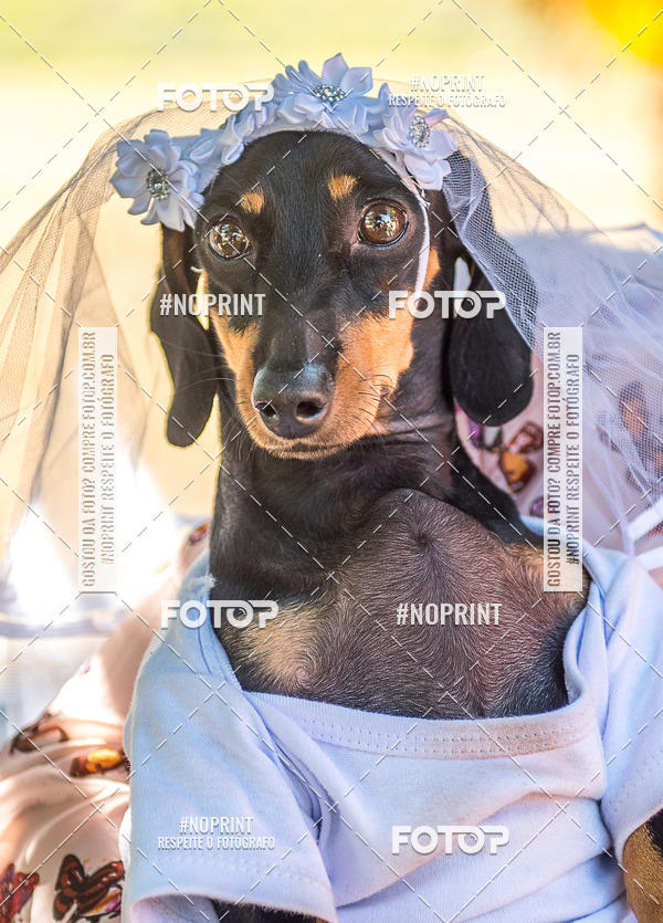 Compre suas fotos do eventoCo Joo - Festa Julina do Clube dos Salsichanos Ribeiro Preto no Fotop