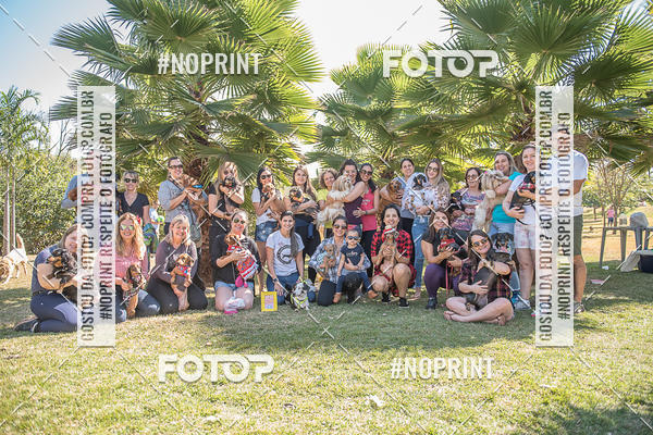 Compre suas fotos do eventoCo Joo - Festa Julina do Clube dos Salsichanos Ribeiro Preto no Fotop