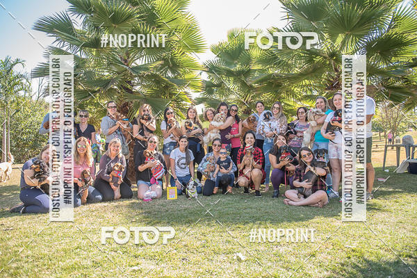 Buy your photos of the eventCo Joo - Festa Julina do Clube dos Salsichanos Ribeiro Preto on Fotop