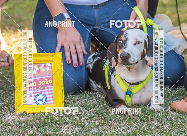 Achetez vos photos de l'vnementCo Joo - Festa Julina do Clube dos Salsichanos Ribeiro Preto sur Fotop