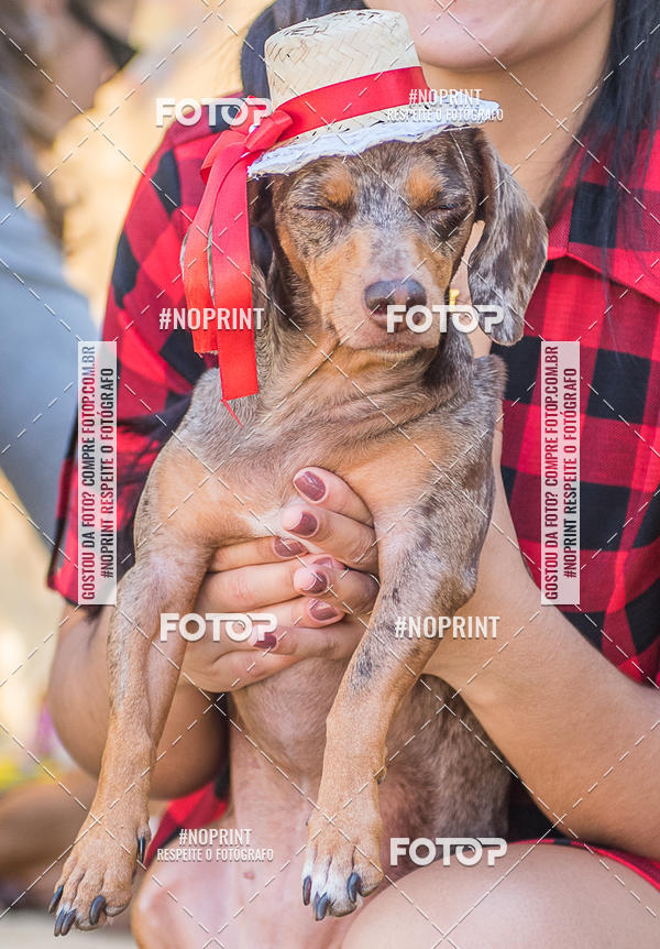 Buy your photos of the eventCo Joo - Festa Julina do Clube dos Salsichanos Ribeiro Preto on Fotop