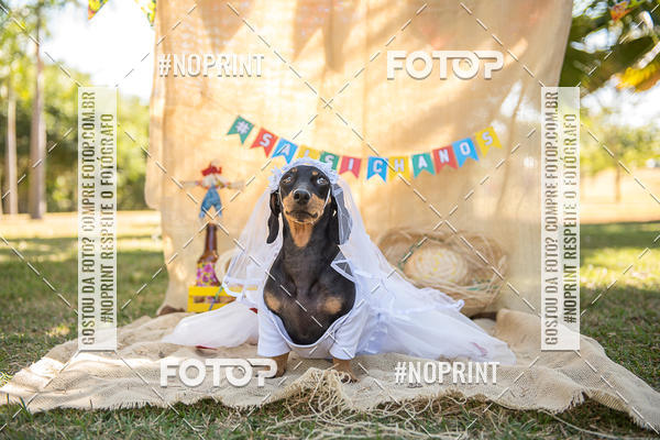 Compre suas fotos do eventoCo Joo - Festa Julina do Clube dos Salsichanos Ribeiro Preto no Fotop