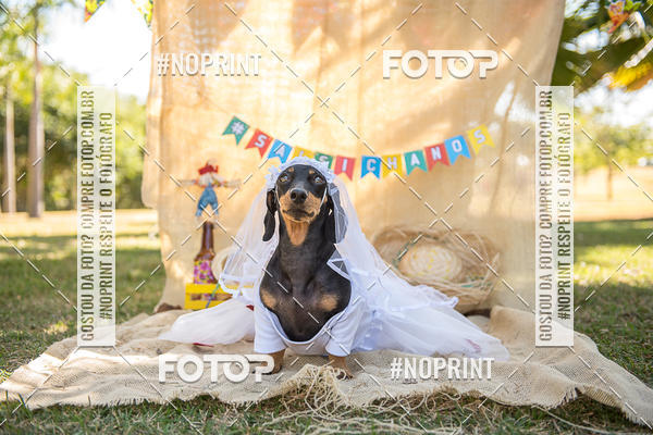 Buy your photos of the eventCo Joo - Festa Julina do Clube dos Salsichanos Ribeiro Preto on Fotop