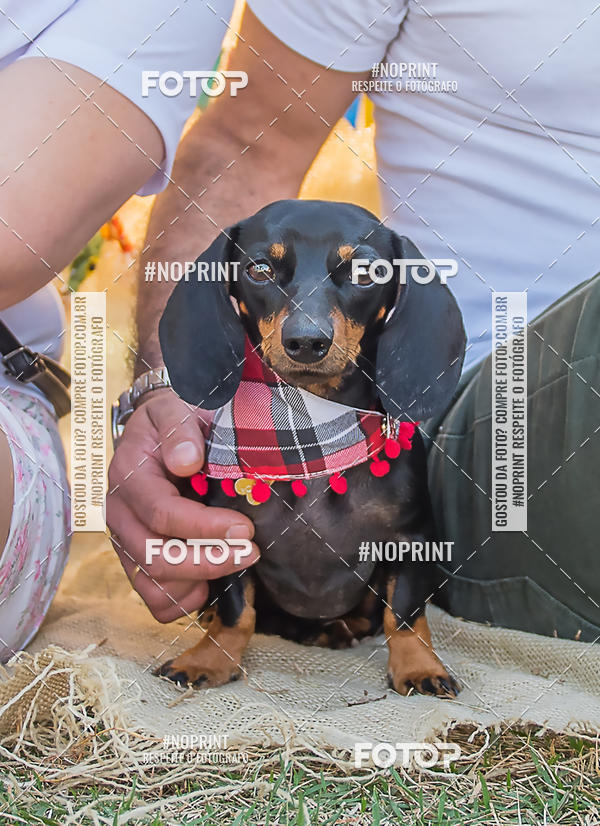 Buy your photos of the eventCo Joo - Festa Julina do Clube dos Salsichanos Ribeiro Preto on Fotop