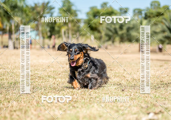 Buy your photos of the eventCo Joo - Festa Julina do Clube dos Salsichanos Ribeiro Preto on Fotop