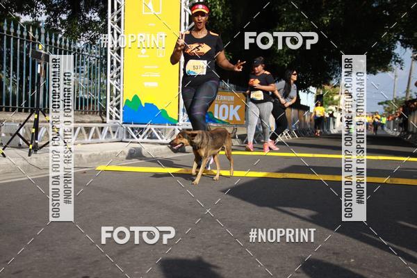 Buy your photos of the eventCorrida Ternium 2019 on Fotop