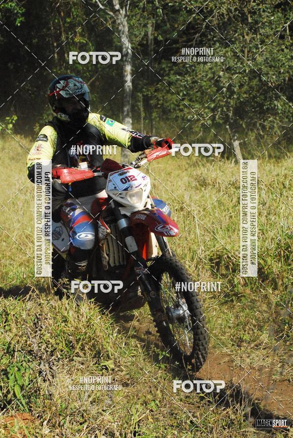 Buy your photos of the event4 Trilho dos Frangos on Fotop